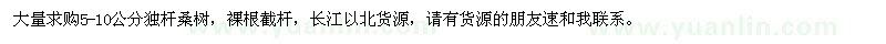 求購5-10公分獨(dú)桿桑樹