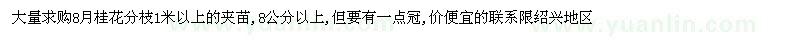 求購(gòu)八月桂
