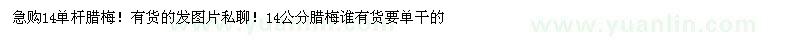 求購臘梅