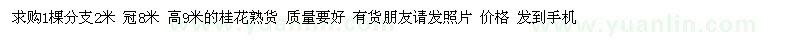 求購桂花