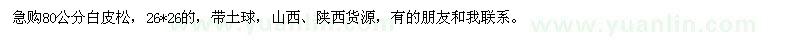 求購80公分白皮松