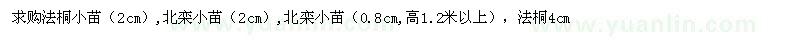 求購(gòu)法桐小苗、北欒小苗