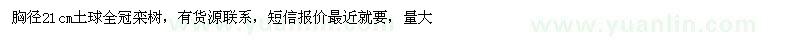求購(gòu)胸徑21公分土球全冠欒樹(shù)