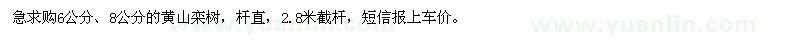 求購(gòu)6、8公分黃山欒樹(shù)