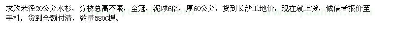 求購米徑20公分水杉