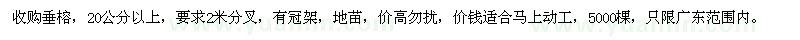 求購(gòu)20公分以上垂榕