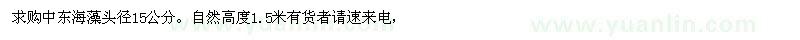 求購(gòu)頭徑15公分中東海藻袋苗