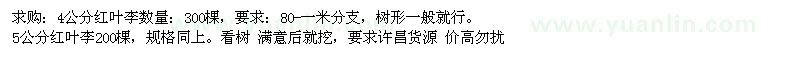 求購4、5公分紅葉李