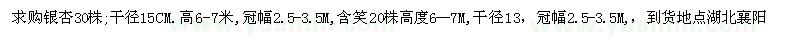 求購高6-7米銀杏