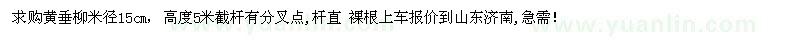 求購(gòu)米徑15公分黃垂柳
