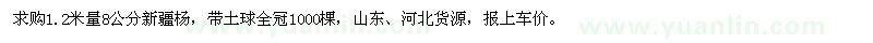 求購胸徑8公分新疆楊