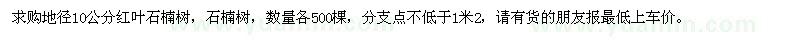 求購地徑10公分紅葉石楠、石楠樹
