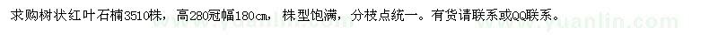 求購紅葉石楠