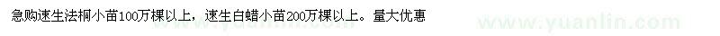 求購(gòu)速生法桐、白蠟小苗