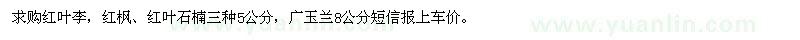 求購(gòu)紅葉李、紅楓、廣玉蘭等