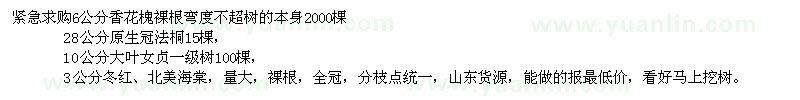 求購(gòu)香花槐、法桐、大葉女貞、海棠