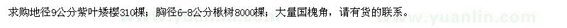 求購紫葉矮櫻、楸樹、國槐角