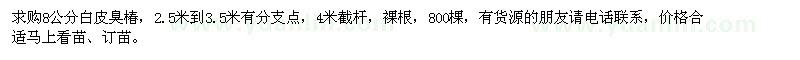 求購(gòu)8公分白皮臭椿