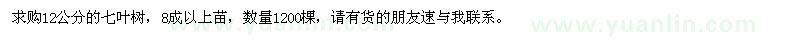 求購12公分的七葉樹