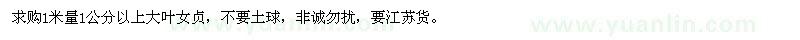 求購1米量1公分以上大葉女貞