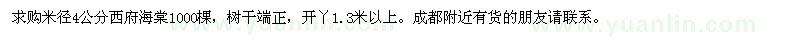 求購米徑4公分西府海棠