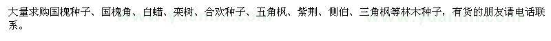 求購國槐角,國槐種子,欒樹種子