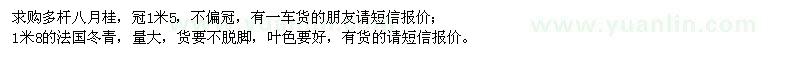求購多桿八月桂、法國冬青
