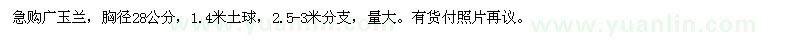 求購(gòu)胸徑28公分廣玉蘭