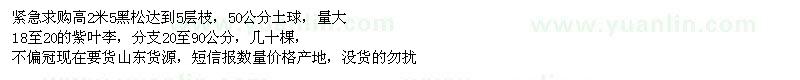 求購(gòu)黑松、紫葉李