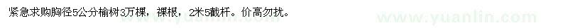 求購(gòu)胸徑5公分榆樹3萬(wàn)棵