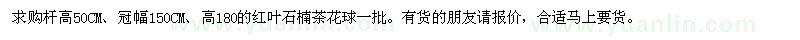 求購(gòu)150公分高桿紅葉石楠、茶花球