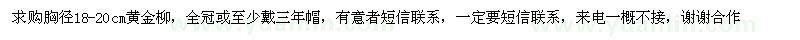求購18-20公分黃金柳
