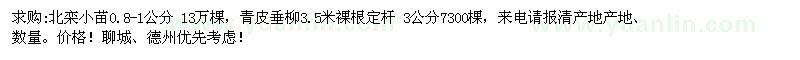 求購(gòu)北欒小苗、青皮垂柳