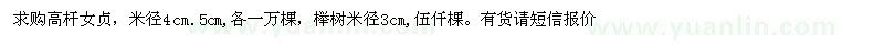求購高桿女貞、櫸樹