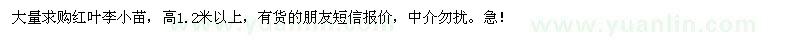 求購高1.2米以上紅葉李小苗
