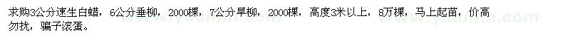 求購速生白蠟、垂柳、旱柳