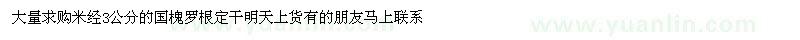 求購國槐