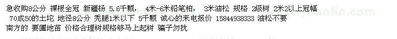 求購油松、新疆楊、鉛筆柏