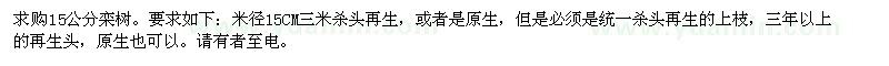 求購15公分欒樹