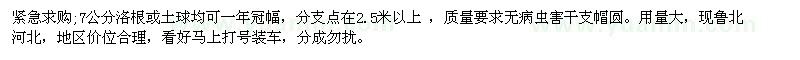 求購國槐