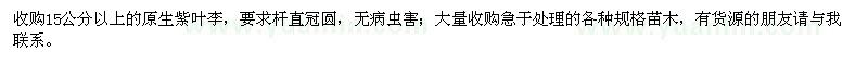 求購15公分以上原生紫葉李