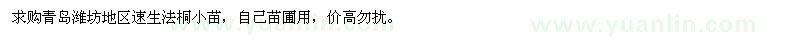 求購速生法桐小苗