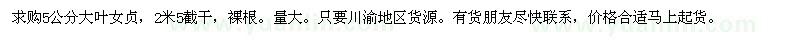 求購5公分大葉女貞