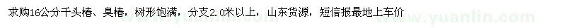 求購16公分千頭椿、臭椿