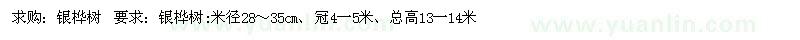 求購銀樺樹