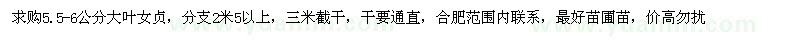 求購(gòu)5.5-6公分大葉女貞