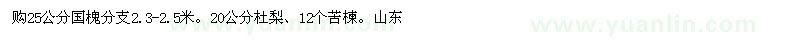 求購25公分國槐
