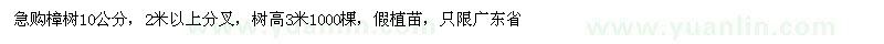 求購樟樹