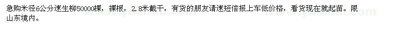 求購米徑6公分速生柳