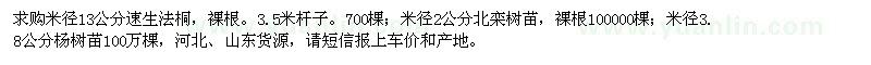 求購速生法桐、楊樹苗、北欒樹苗